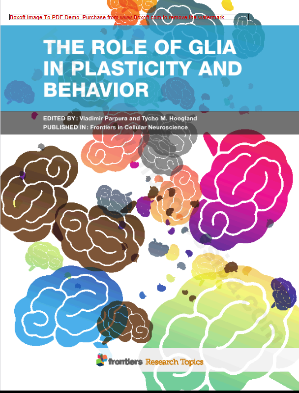 The Role of Glia in Plasticity and Behavior